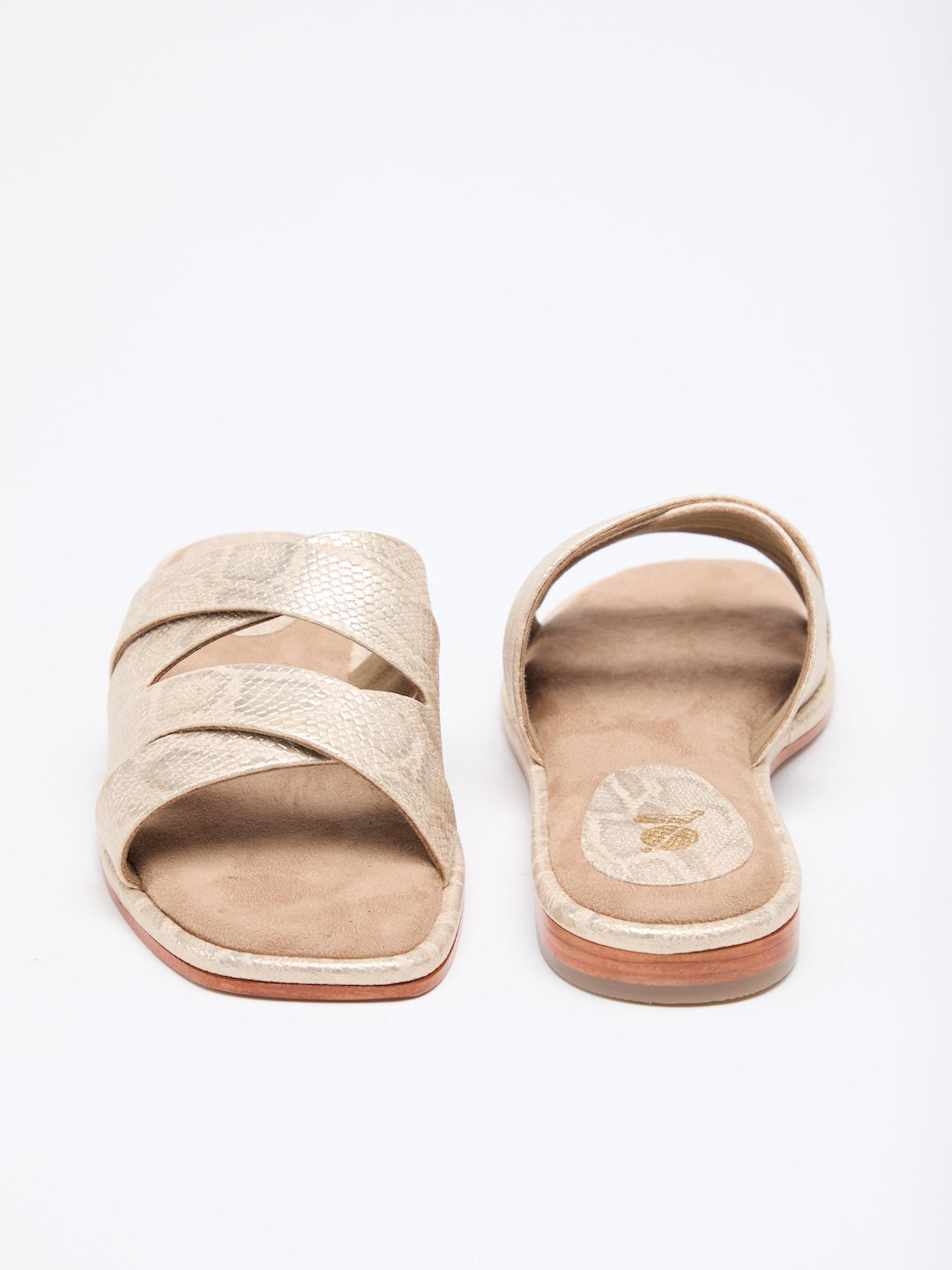 MEDUSA'S GLANCE FLATS