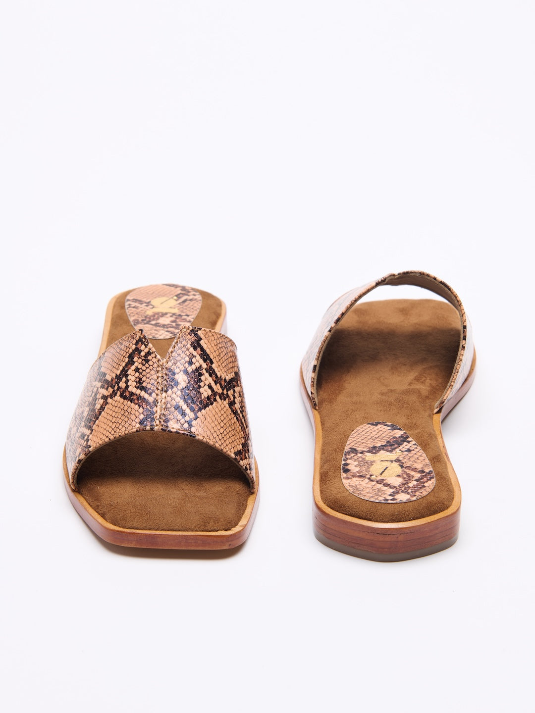 Serpentina Slides