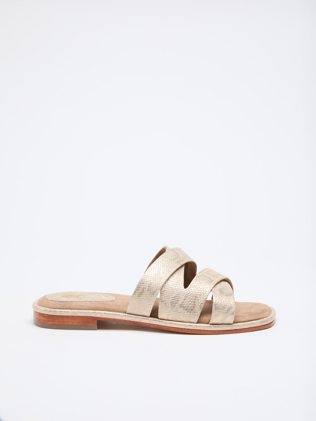 MEDUSA'S GLANCE FLATS