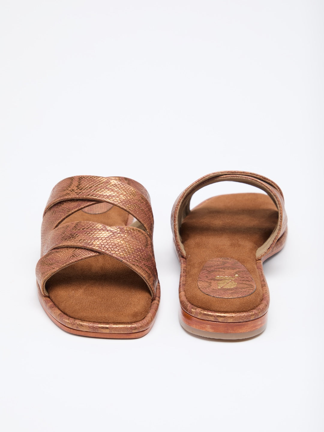 MEDUSA'S GLANCE FLATS