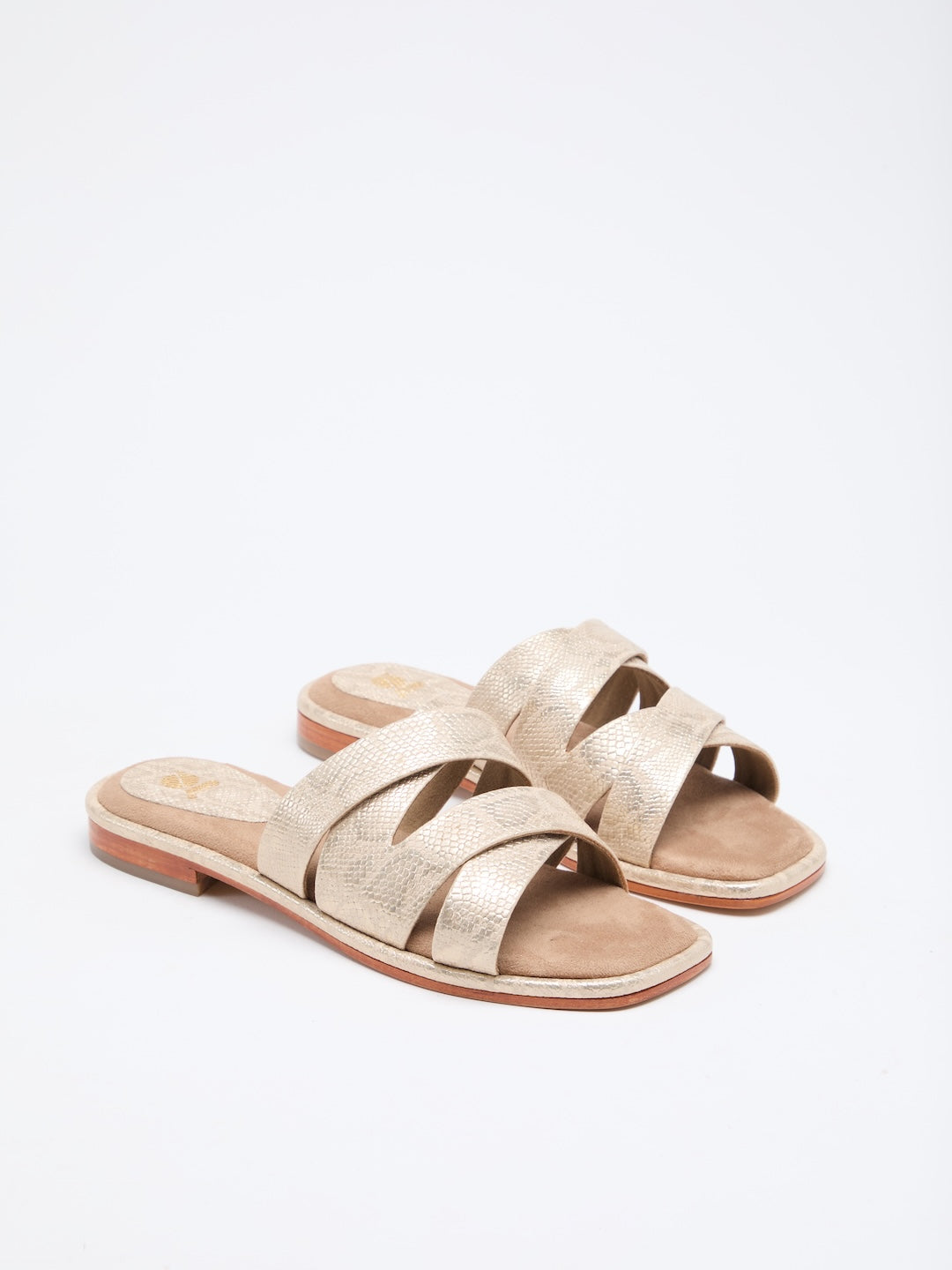 MEDUSA'S GLANCE FLATS